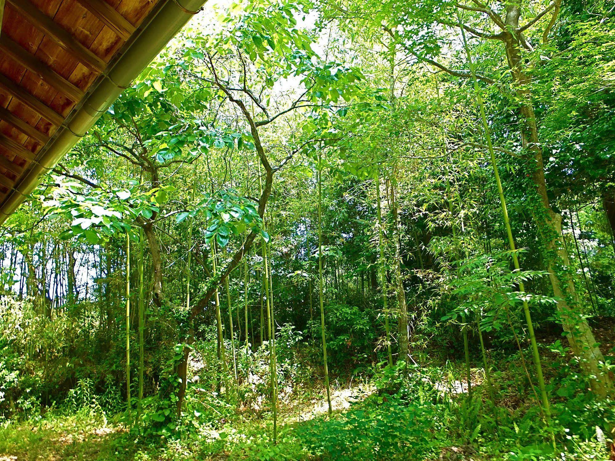 Kominka Sharehouse Hooju Miyazaki Dış mekan fotoğraf